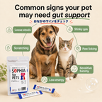 SOPHIA for PETS