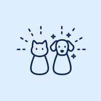 Skin & Coat Support